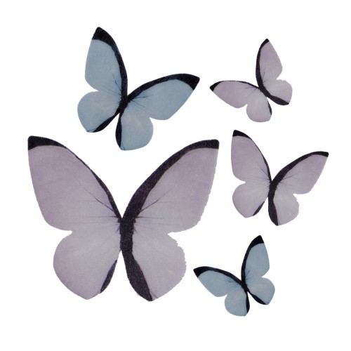Dekora - Jedlý papír - motýl - 3-6cm / 79ks