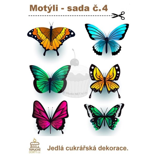 "Amazon Butterflies" - A5