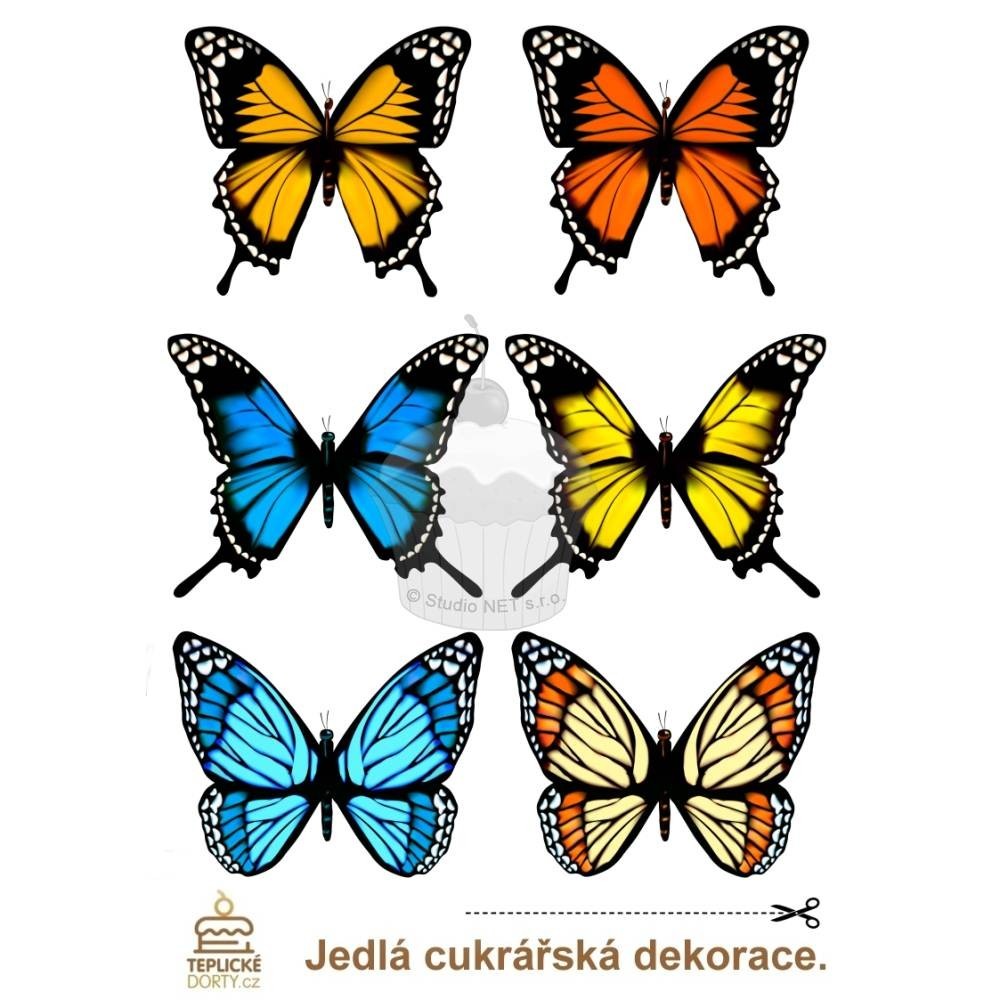 "Schmetterlinge Amazon BIG 6pcs" - A4