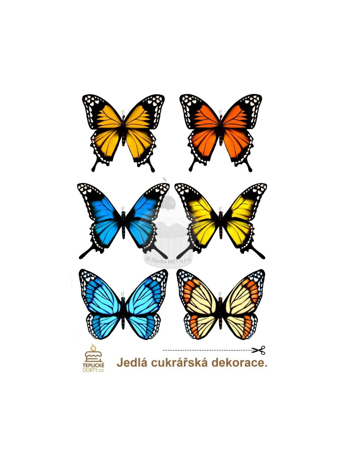 "Butterflies Amazon BIG 6pcs" - A4