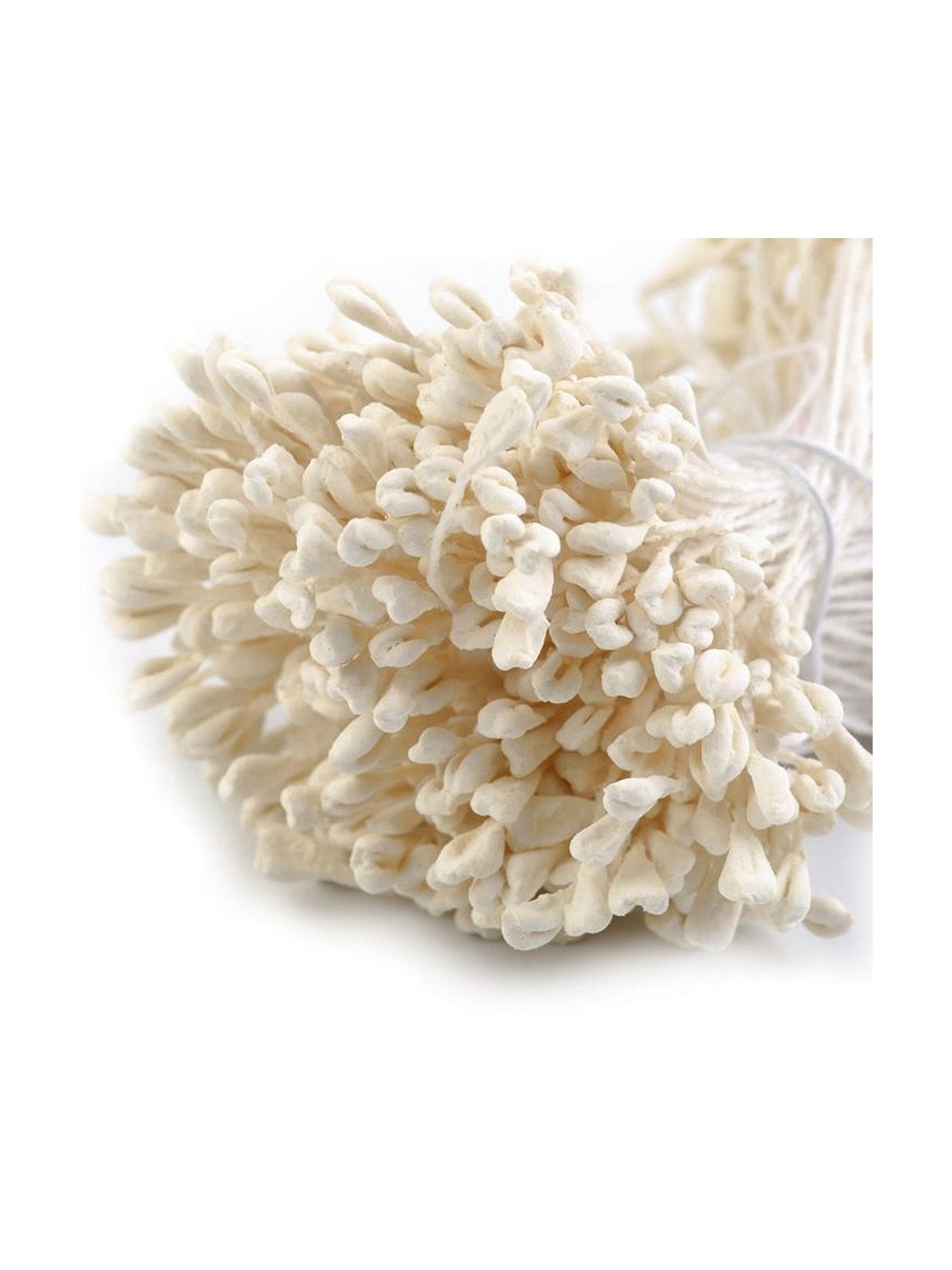 Stamens medium matt flat cream - 340pcs