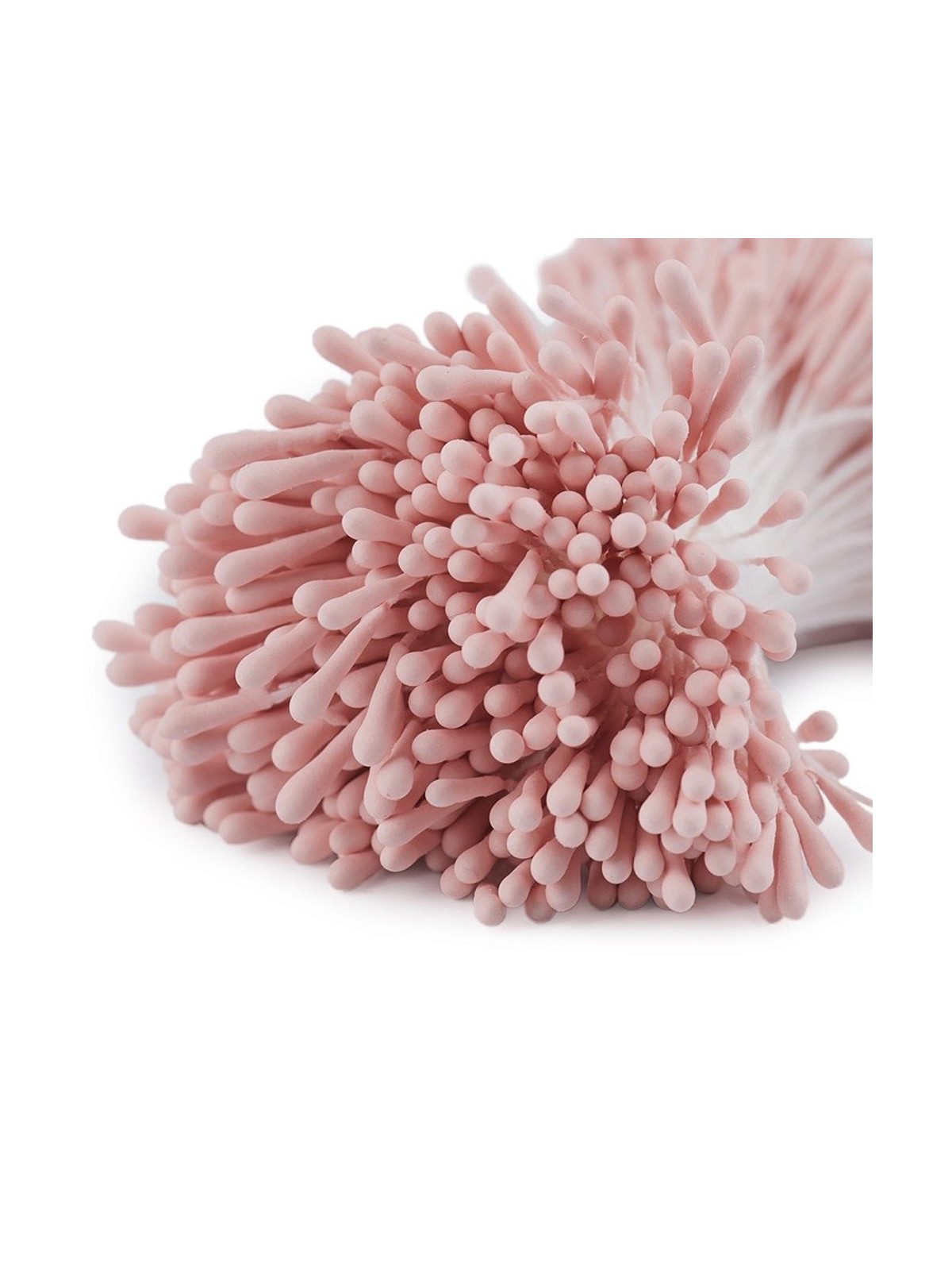 Stamens medium matt salmon - 450pcs