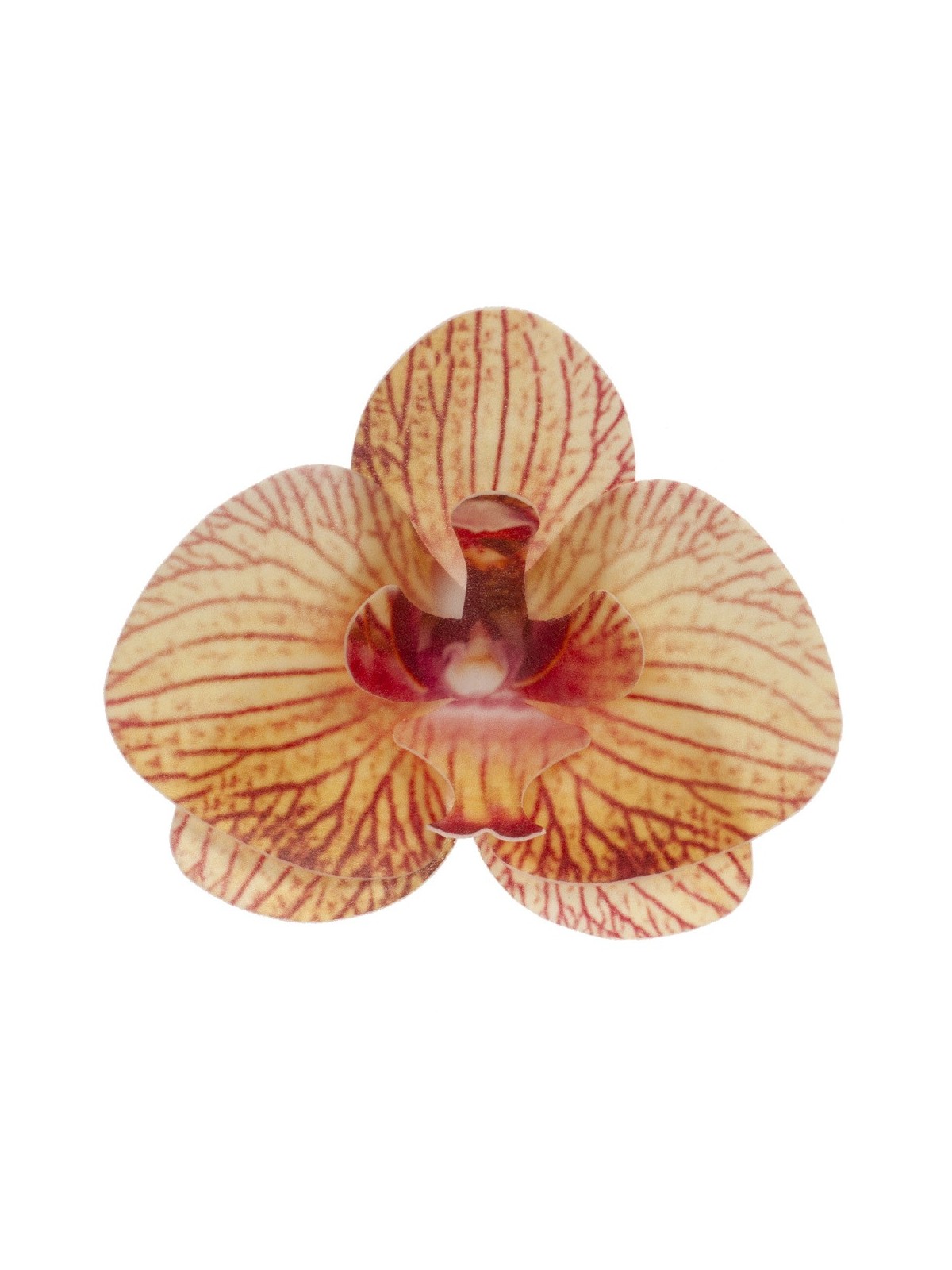 Dekora - Edible paper - yellow orchid - 10 pcs