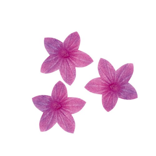 Dekora - Jedlý papír - fialová lilie - 100ks