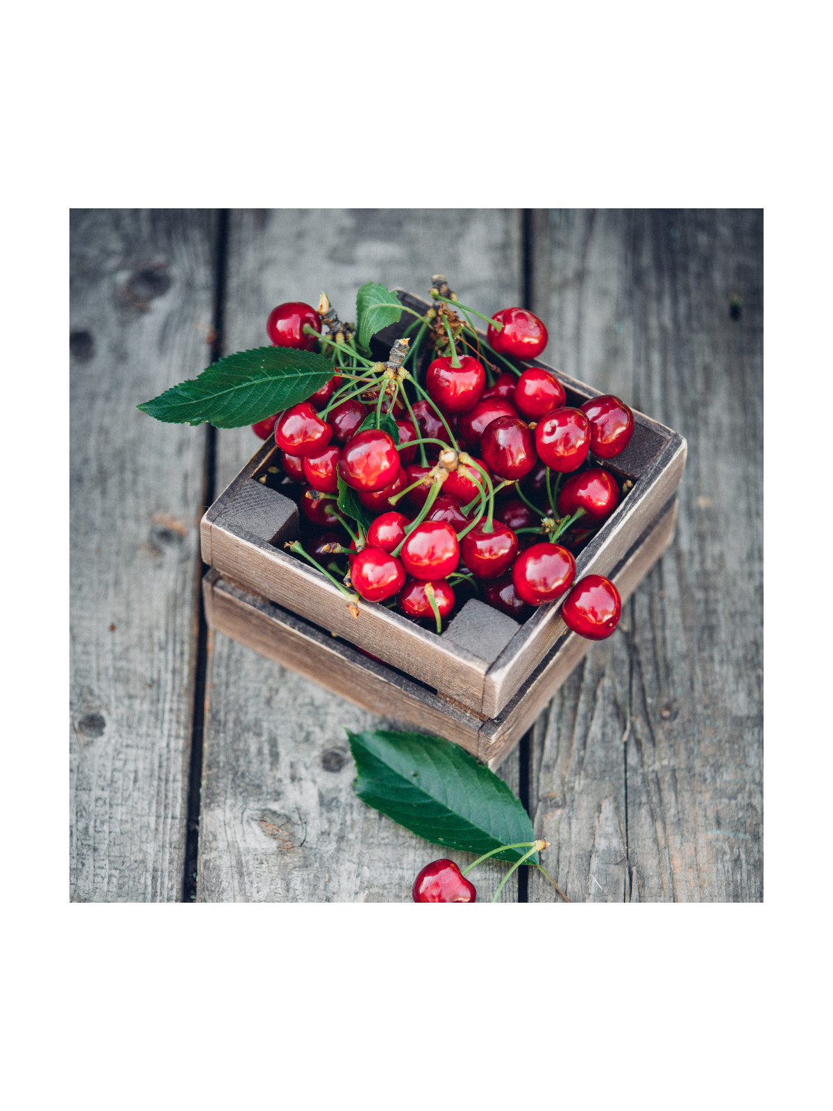 Flavouring 20 ml  - SOUR CHERRIES