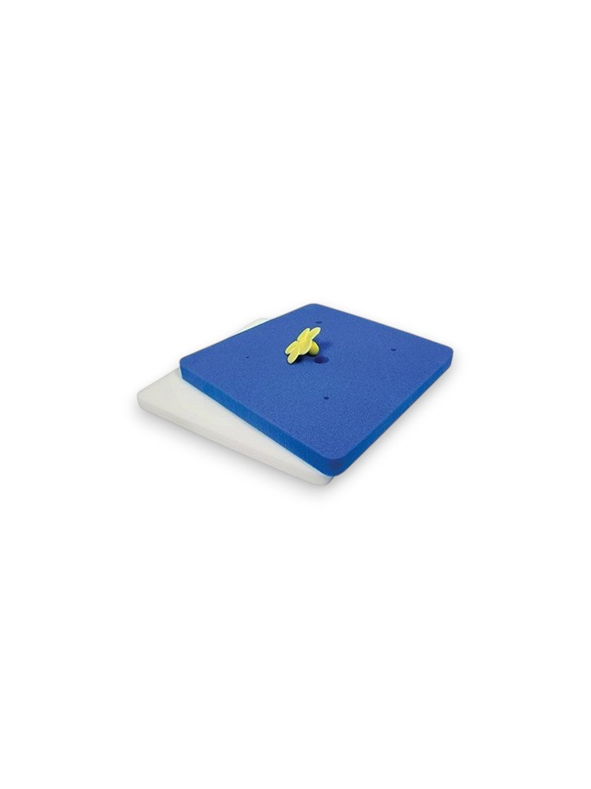 Mexican & Flower Foam Pads - 2 pcs.