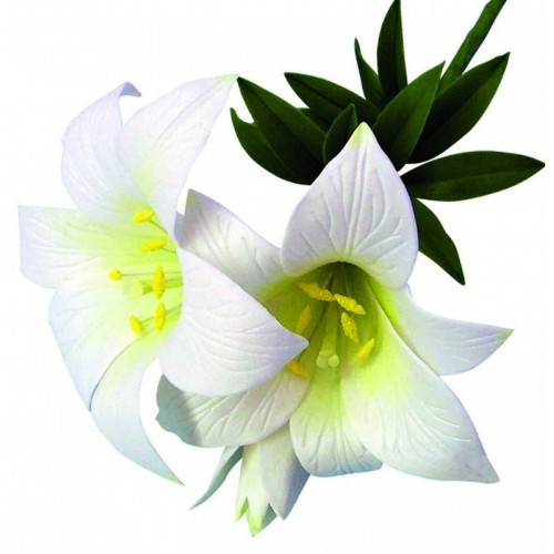 Cookie cutter - St. Joseph Lily and Stargazer Lily